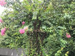 不起眼的门口-上海崇明金茂凯悦酒店