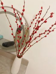 -程氏苗堂苗技养生