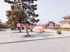 -洛阳古墓博物馆