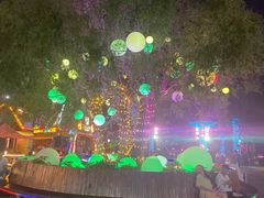 -第35届青岛国际啤酒节