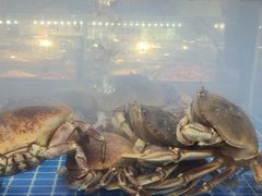 -隐厨·海鲜餐厅(恒通路店)
