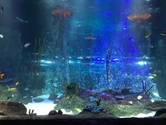 -沈阳海洋探索中心