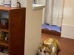 -肥朵食堂(带梦胡同店)