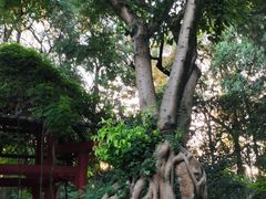 -成都武侯祠博物馆