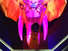 -疯克大象美式烤肉餐厅