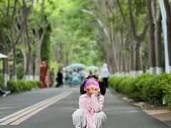 -日照海滨国家森林公园