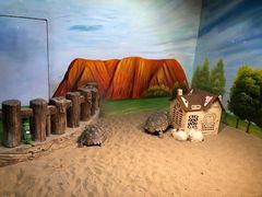 -华夏文旅海洋公园