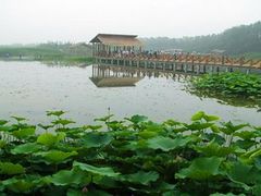 -溱湖国家湿地公园