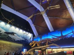 -贝林大翅鲸简餐厅(国家海洋博物馆店)