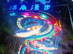 -广西壮族自治区药用植物园
