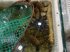 -福润海鲜馆