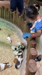 -宝燕乐园(闵行旗舰店)