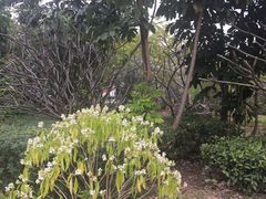 -福田红树林生态公园