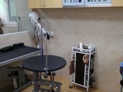 -美联众合动物医院·24h京西诊疗中心