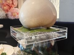 -汤城·料青山