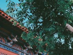 -开封府