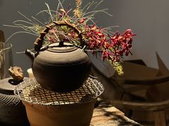 -植觉