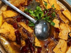 -丁老爷子苏香圆
