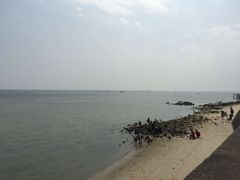 -北海金海湾红树林生态旅游区