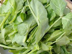 -大理老字号·舟渔的鱼野生菌海景餐厅(双廊店)