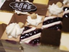 -维尔纳斯·生日蛋糕动物奶油冰淇淋蛋糕(人大店)