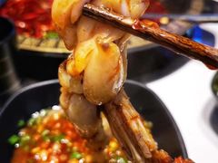 -新哥老官·畅吃123·美蛙世界(苏宁广场店)