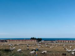 -青海湖国家重点风景名胜区