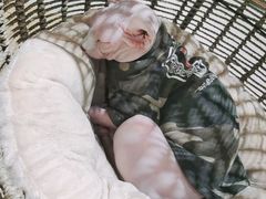 -藏猫猫咖啡主题馆(中央大道店)