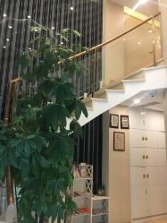 -紫琪尔国际丰胸美胸机构