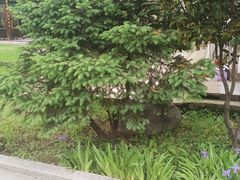 -西安祥峪森林公园