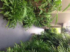 普吉岛爱维斯塔度假村-普吉岛卡塔阿维斯塔诺富特酒店度假村