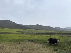 -扁都口生态休闲旅游区