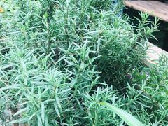 -艾加柒克蛋糕茶歇甜品台(春熙路店)