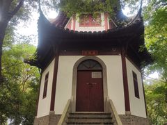 -上海佘山国家森林公园天马山园