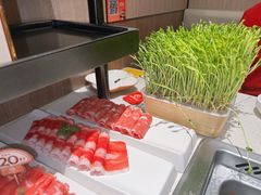 -海底捞火锅(巴黎春天浦建店)
