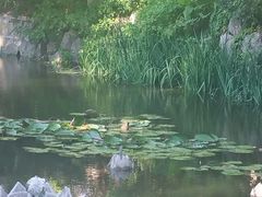-兰溪青年公园