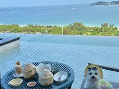 -瑰丽酒店·海吧·天际下午茶·现场DJ·天台酒吧