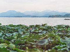 -湖畔居茶楼(湖滨店)