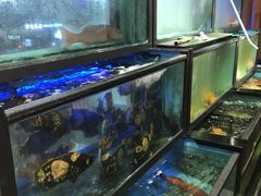 -金唐海鲜酒家