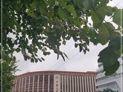 -广州中国大酒店
