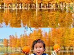 -白鹭湾湿地公园