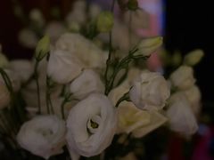 -Olive橄榄花园漂亮饭主题布置餐厅(大望路店)