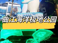 -西安曲江海洋极地公园