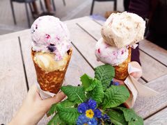 -Patagonia Chocolates(皇后镇店)