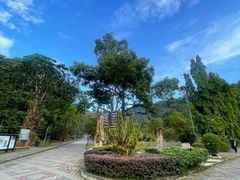 -槟城植物园
