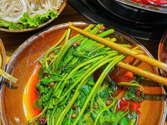 -阳阳老火锅(小南门店)