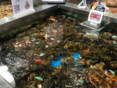 水产区-盒马鲜生(189购物中心店)