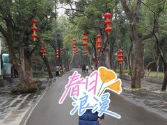 -东湖落雁景区