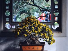 -杭州植物园