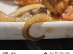 -前海沿·青岛菜(乐客城店)